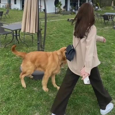 食女2018